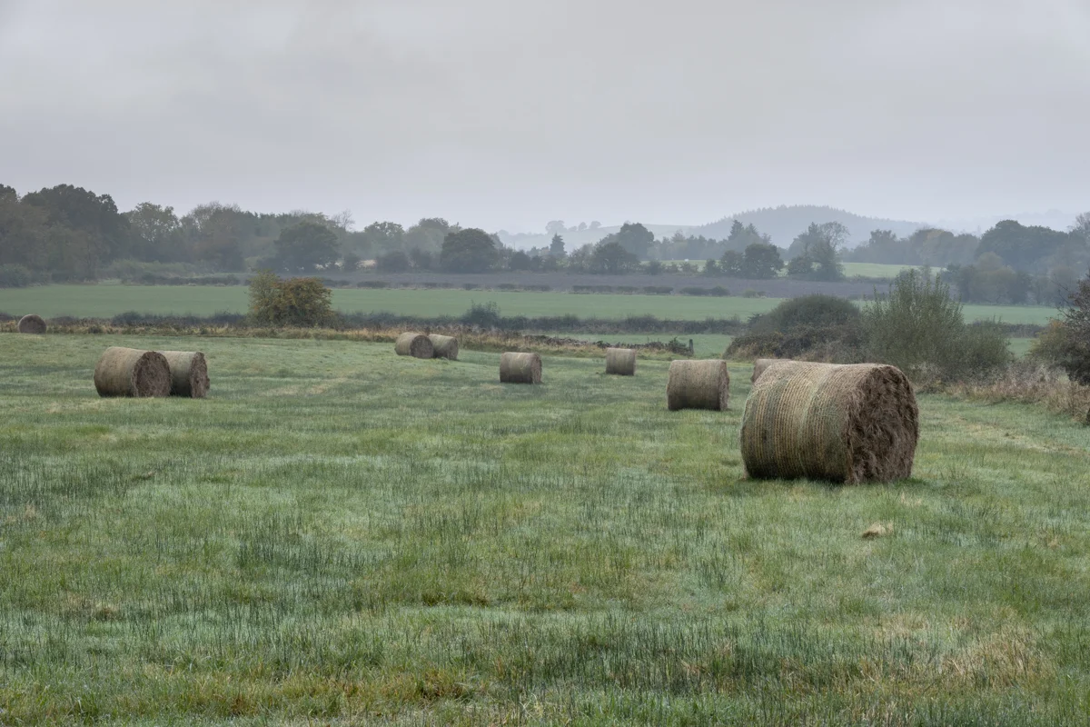 Round hay bales scattered across a misty green farmland field on an overcast autumn morning.