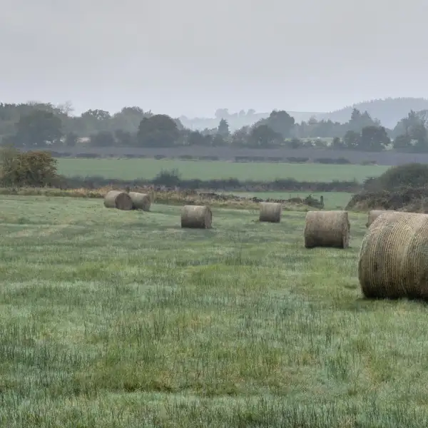 Crimple Valley Autumn Walk