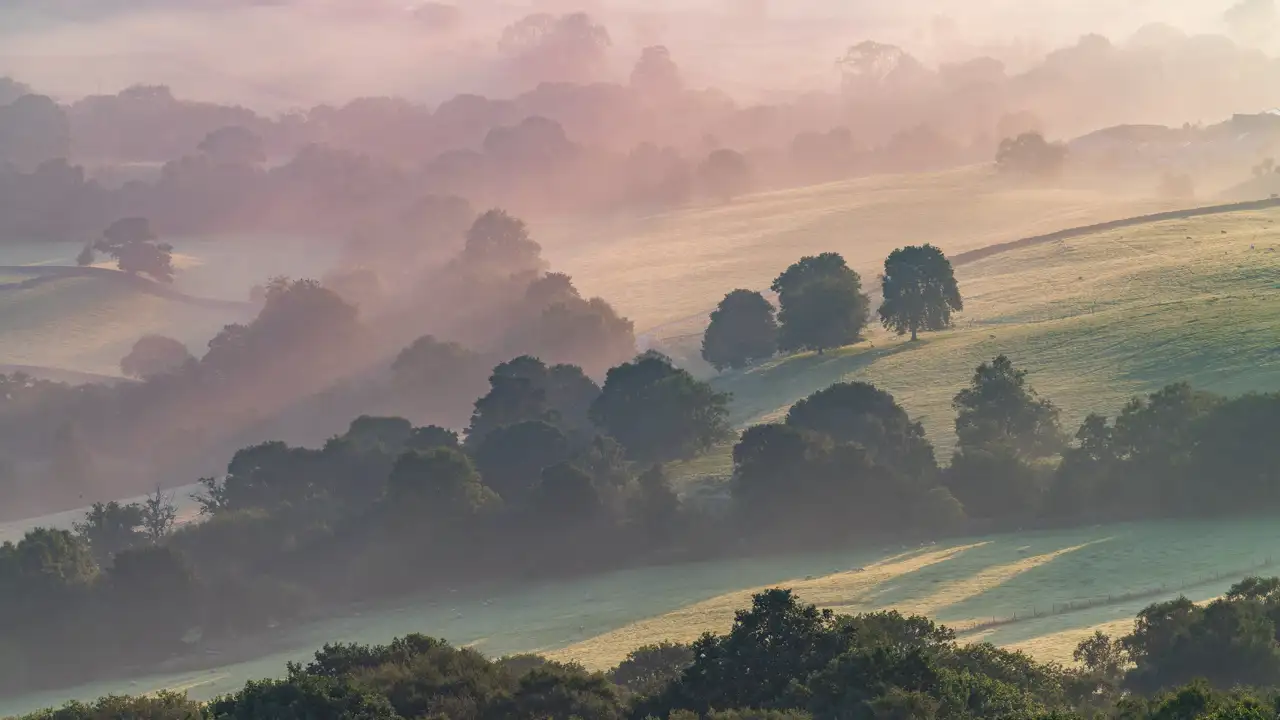 Rolling hills covered in soft morning mist, with scattered trees casting gentle shadows on the grassy landscape. The light creates a warm, pinkish hue, giving a serene and ethereal atmosphere to the scene.