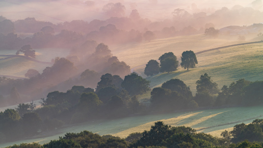  a foggy landscape with trees and a river