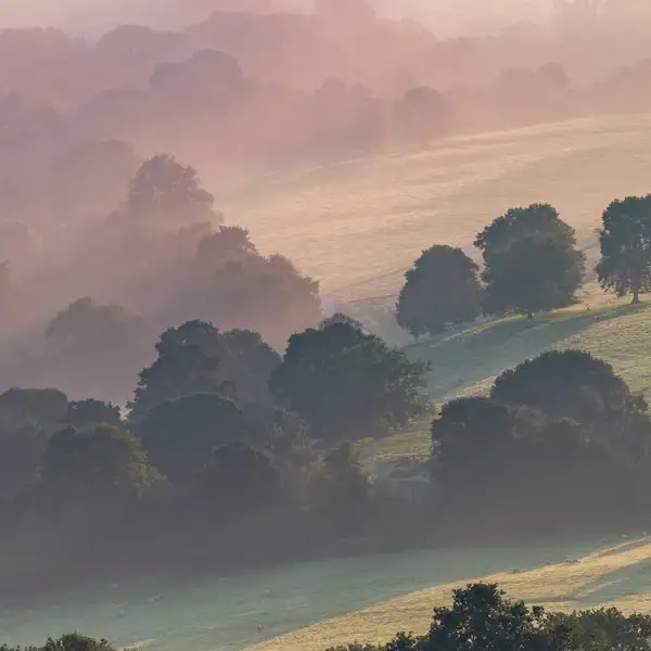 Autumn Mists
