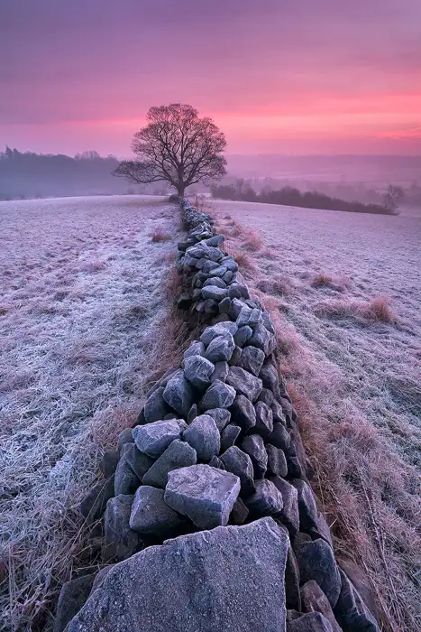Frosty Morning