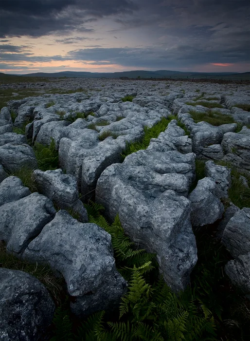 Into the darkness