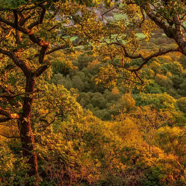 Approaching autumn