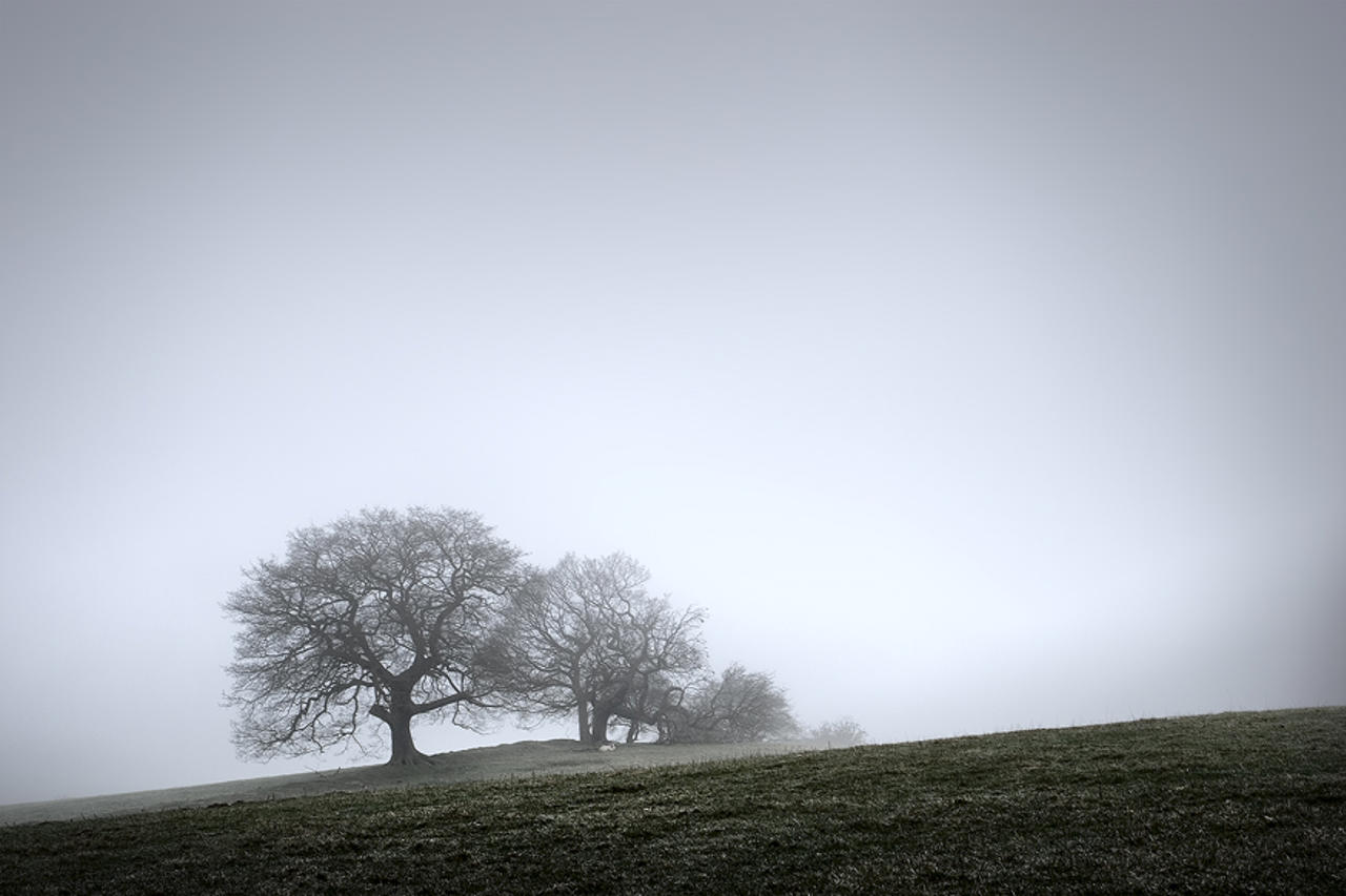 Misty morning, Fewston