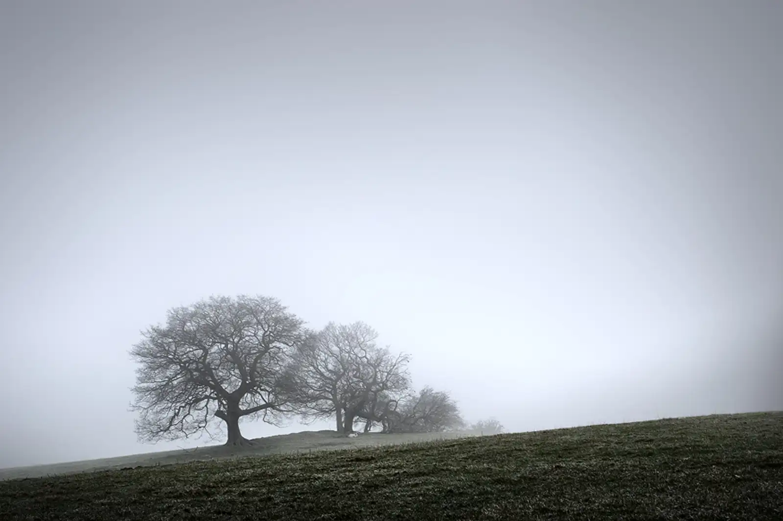 Misty morning, Fewston