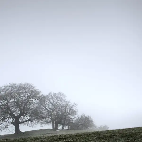 Misty morning, Fewston (1)