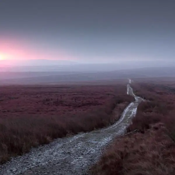 Barren moorland landscape