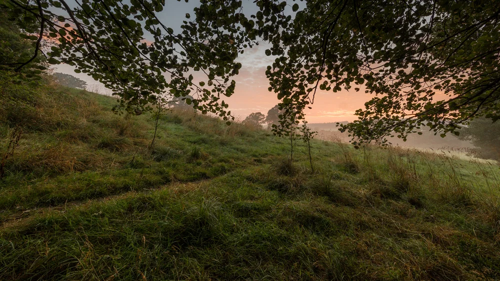 Mist over a grassy meadow framed by overhanging tree branches at sunrise, with a glowing orange and pink sky