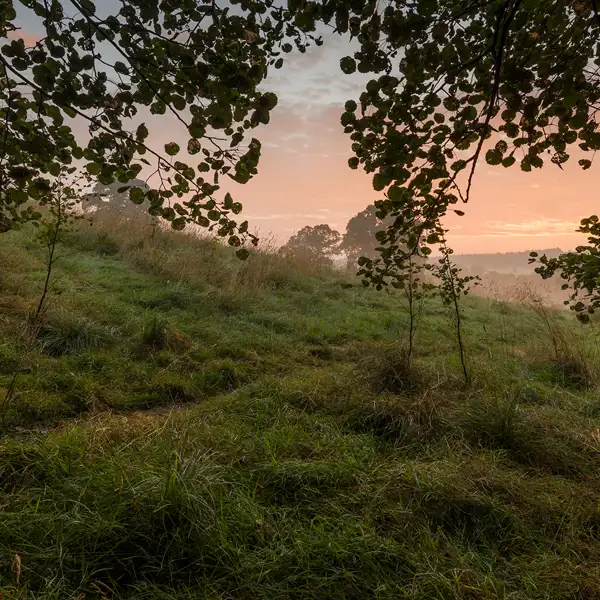 Crimple Valley Misty Summer Morning