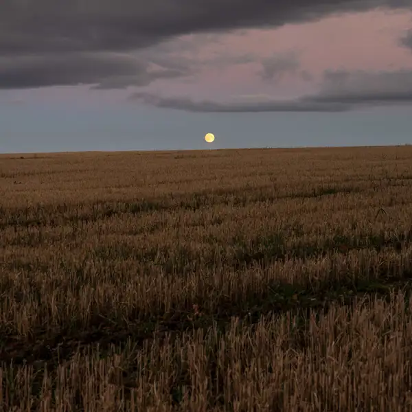 Moonset