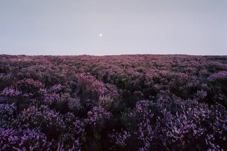 Moorland Moonrise No Path 2014 Edit