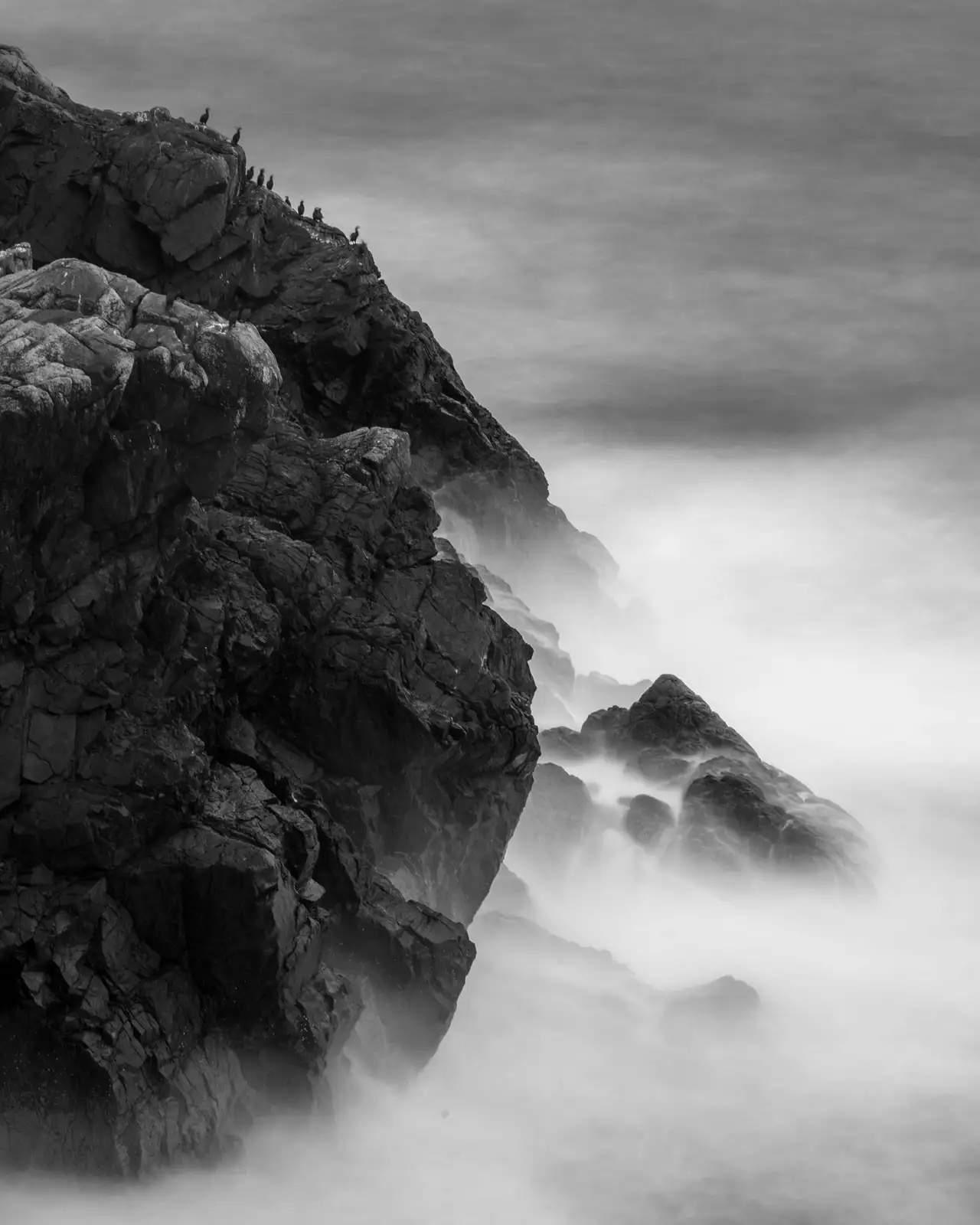 Rugged cliffside with dark, textured rocks protruding into the ocean. Several birds are perched along the top edge of the cliff. The sea below is misty and blurred, creating a soft, ethereal effect. The image is in black and white, highlighting the contrast between the rocks and the water.