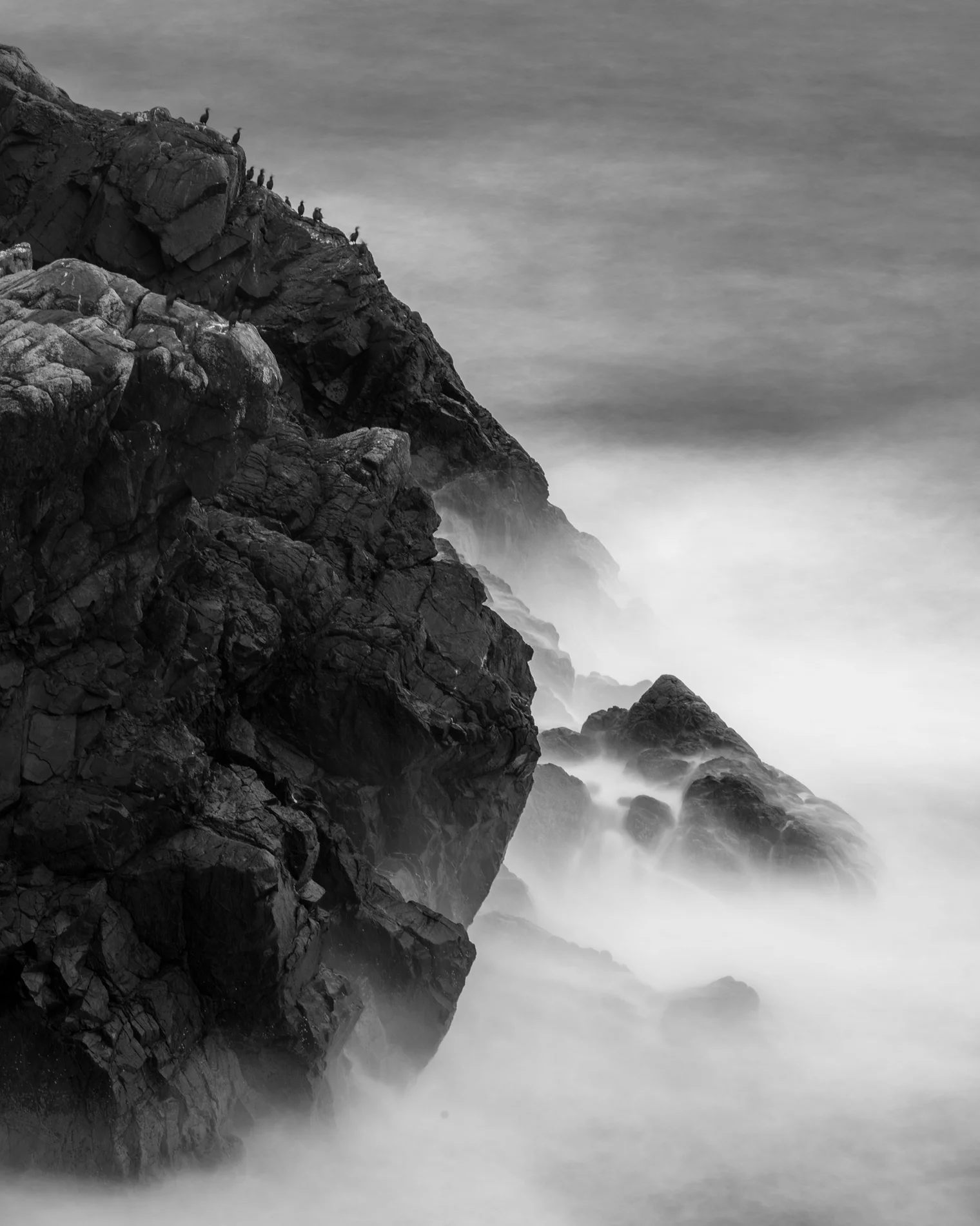 Cormorants perched on a dark coastal rock above misty sea, long-exposure black and white