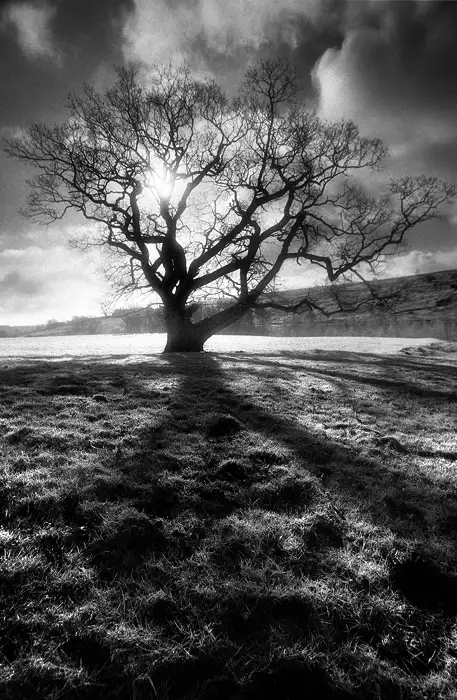 Solitary soul