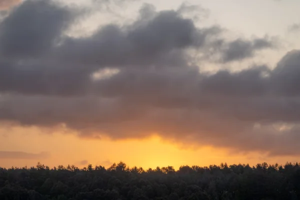 Glowing orange sunset behind a silhouetted woodland treeline under a band of heavy grey cloud.