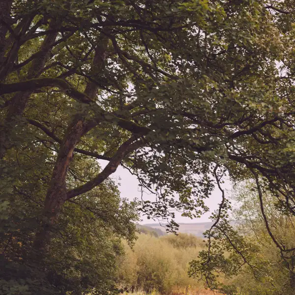 Late Summer Fewston