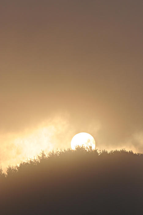 Sunrise, Thruscross