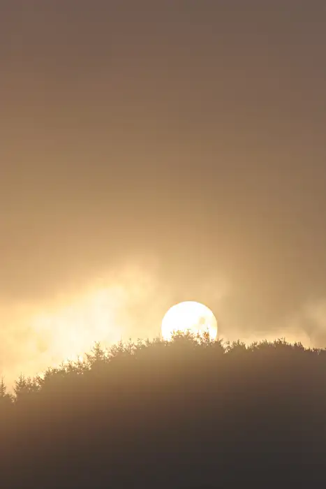 Sunrise, Thruscross