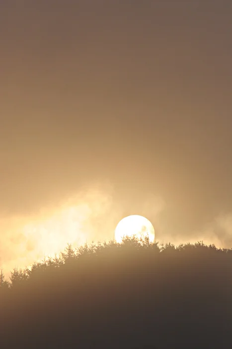 Sunrise, Thruscross
