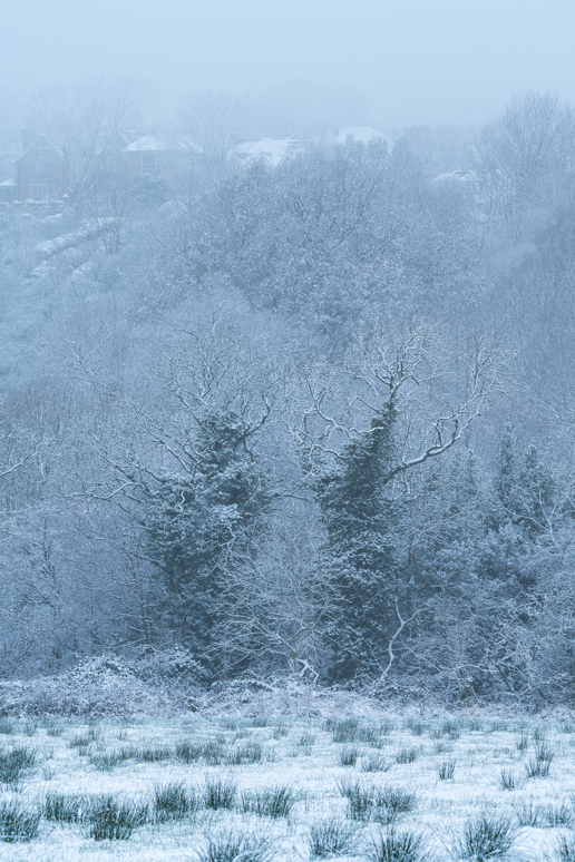 This is a winter scene in North Yorkshire showing a snow-dusted landscape. Leafless trees stand prominently against a pale sky, their branches frosted white. In the foreground, a patchy field lightly covered in snow hints at green grass below. Faint outlines of houses peek through the misty backdrop. background pattern