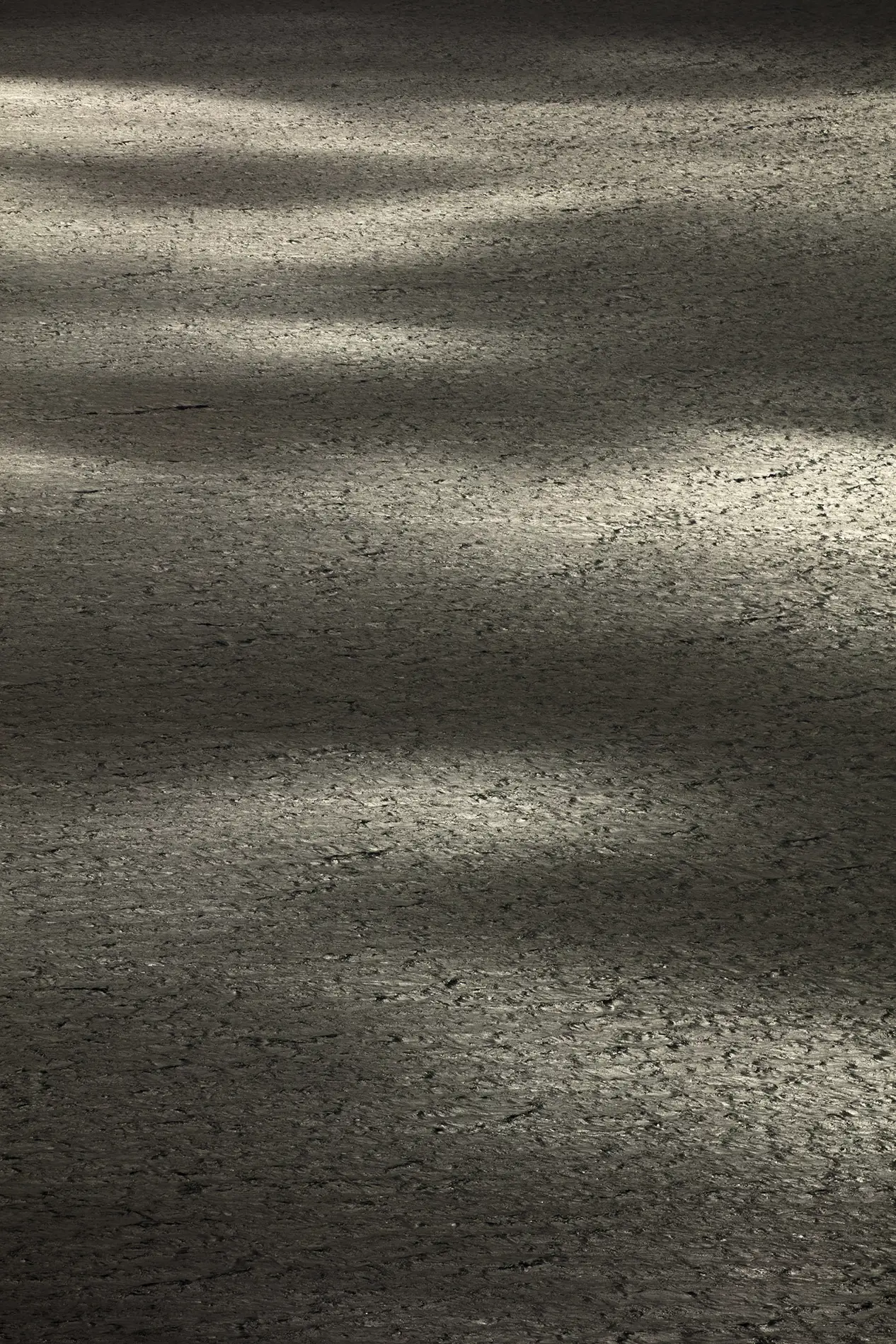 Cracked mudflat textures raked by low light, dark abstract minimalist landscape detail in soft sidelight
