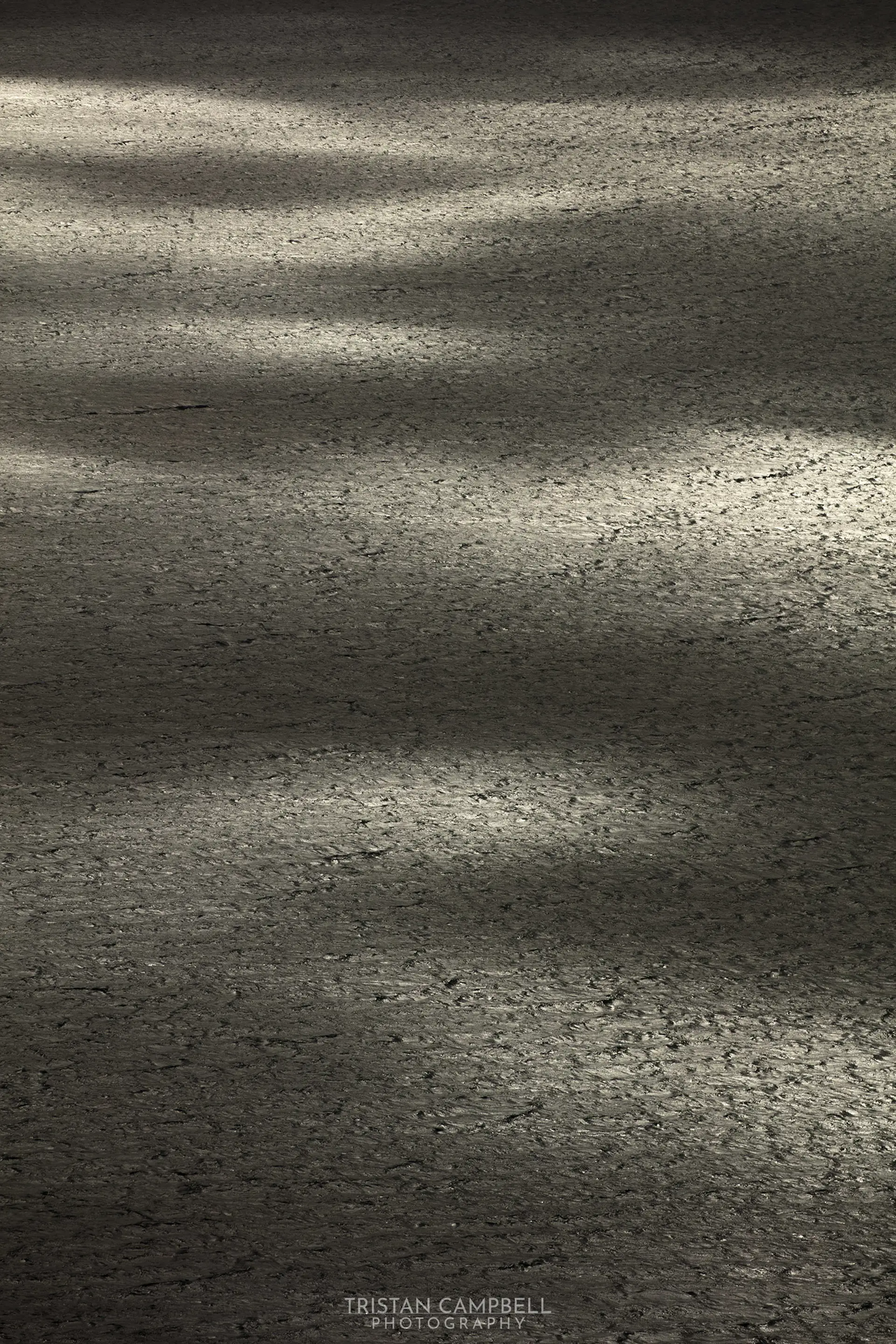 Sunlight filters through trees, casting dappled light and shadow on cracked, dry earth. The textured surface displays varying shades of grey, highlighting the uneven terrain.