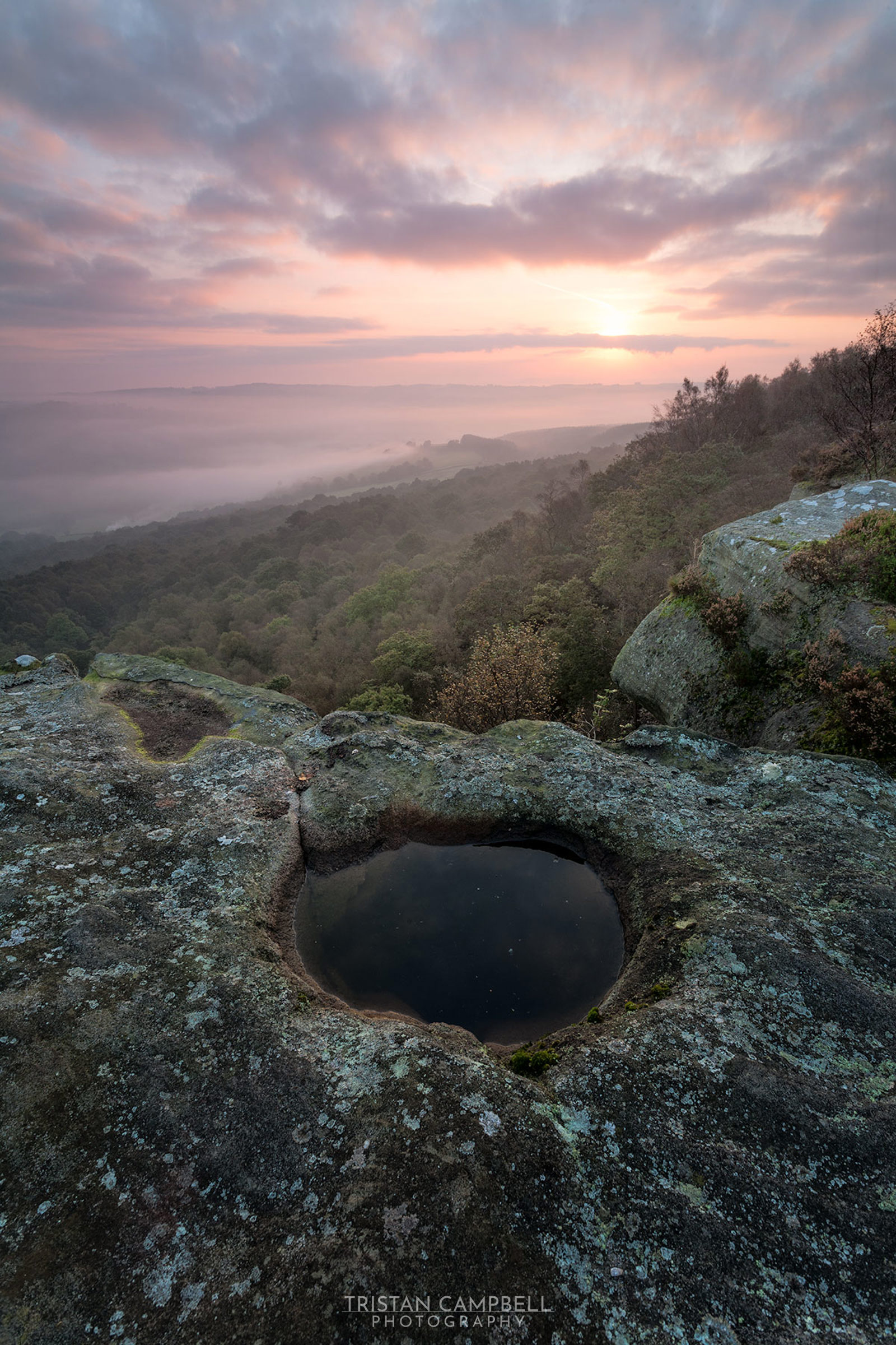 Rocky landscape with a small pool of water in the foreground, surrounded by lichen and moss. The background features a vast expanse of lush green forest under a misty atmosphere. The sky is filled with soft, pinkish clouds from the setting or rising sun, casting a gentle light over the scene.