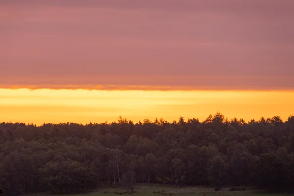 Pine and birch woodland silhouetted against a glowing orange and pink sunset sky