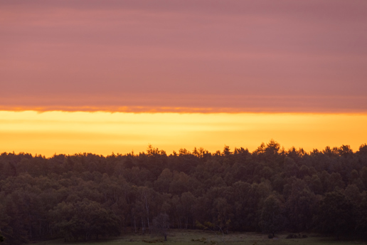  a sunset over a grass field