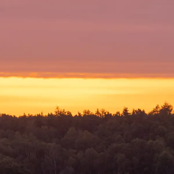 Early Morning Skies