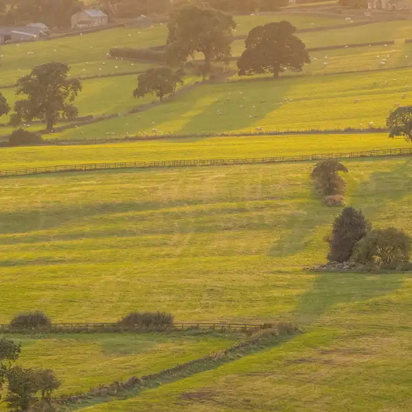 Almscliffe Crag