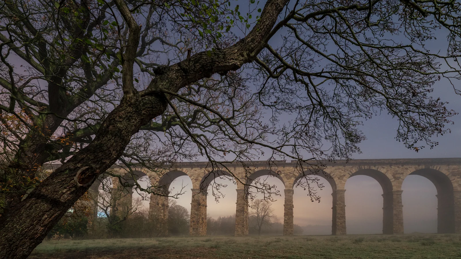 Gnarled tree branches frame a stone railway viaduct shrouded in mist on a frost-covered field at dawn.