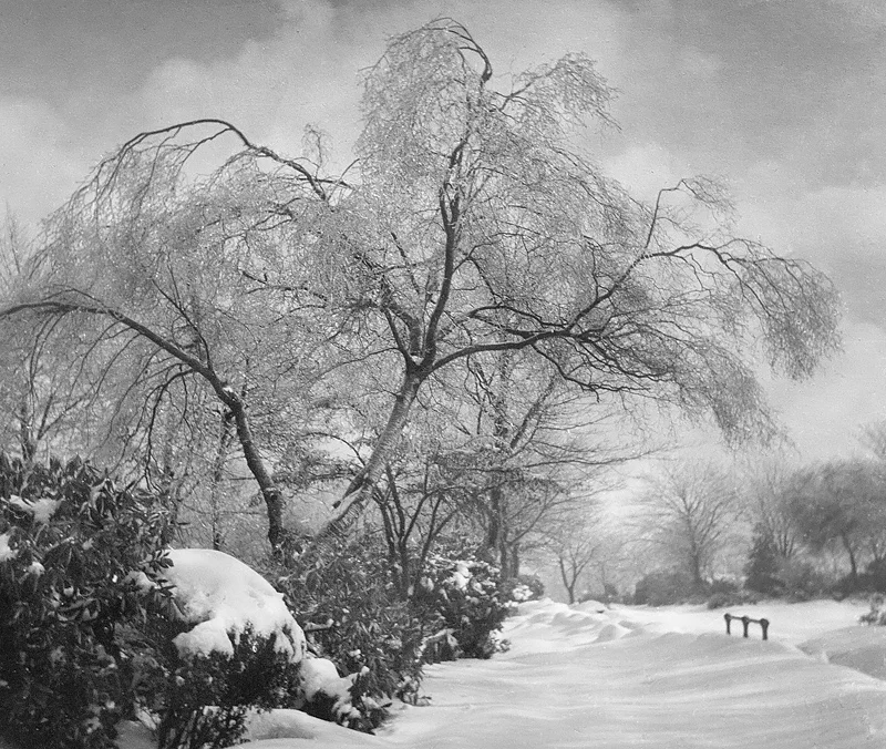 Winter Landscape
