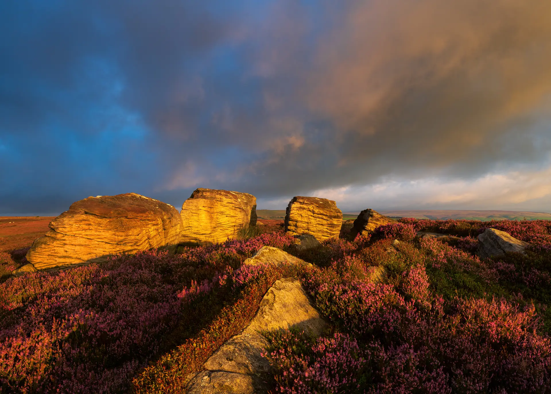 Golden sunlight illuminates large, rugged rock formations surrounded by blooming pink heather on a moorland. A dramatic sky with blue and orange-tinted clouds fills the background, adding depth and contrast to the scene.
