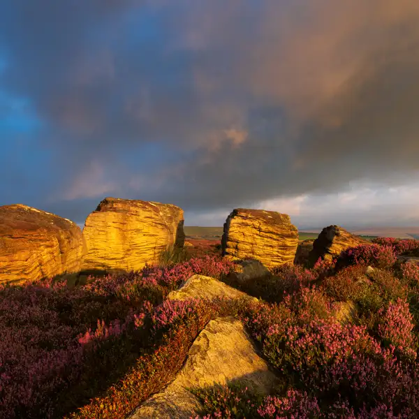 Moorland Light