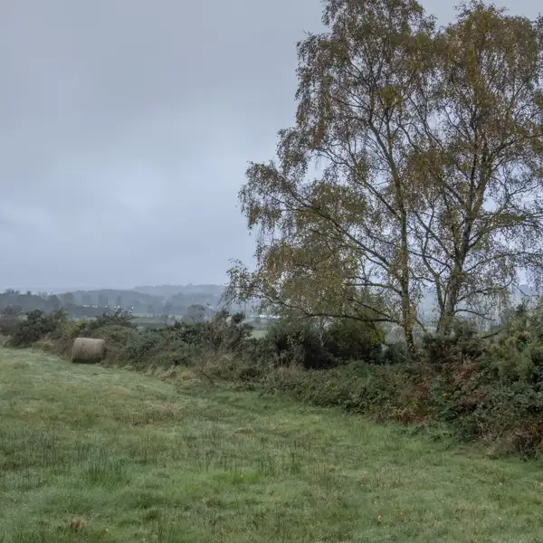 Crimple Valley Autumn Walk