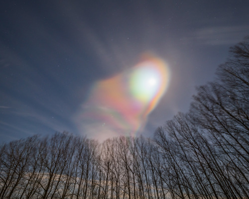 Nightscapes:  a rainbow in the sky above trees