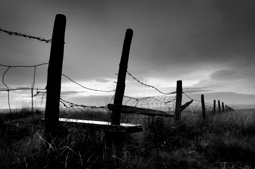 A brief walk