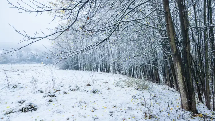 Untitled Panorama1 16 9 2