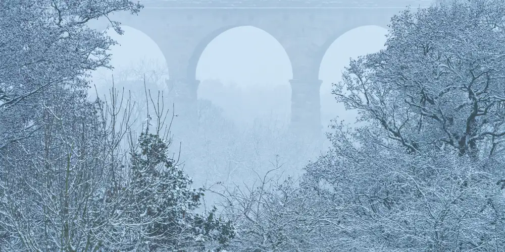 Snow-covered trees with bare branches frame a misty scene where a large stone viaduct with prominent arches is partially visible in the background. The wintry atmosphere creates a tranquil, monochromatic view.