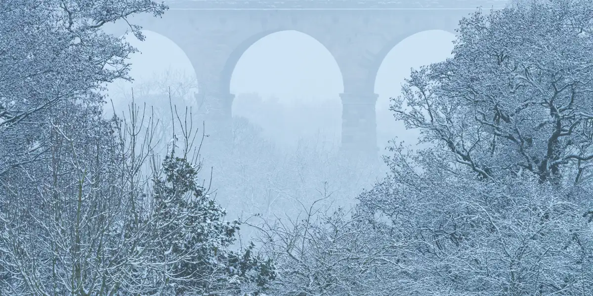 Snow-covered trees with bare branches frame a misty scene where a large stone viaduct with prominent arches is partially visible in the background. The wintry atmosphere creates a tranquil, monochromatic view.