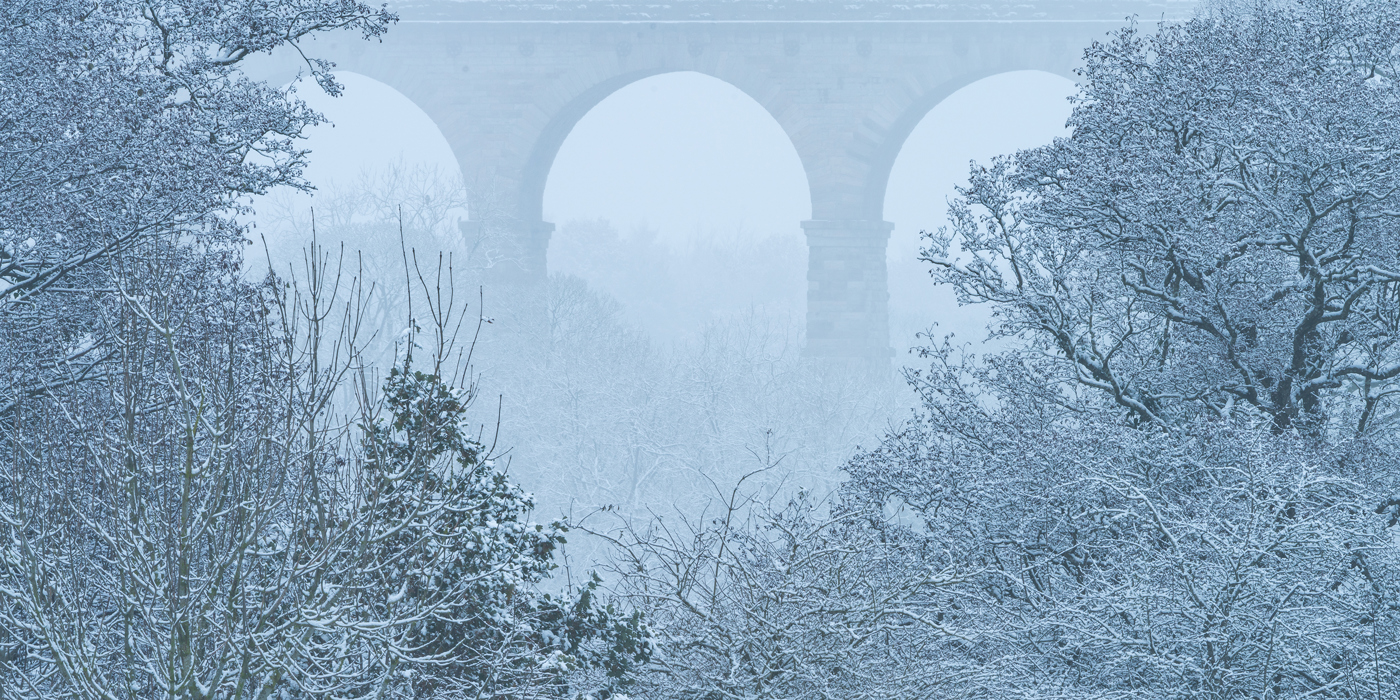  a snowy landscape with trees