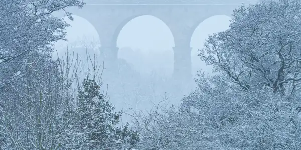 Snow-covered trees with bare branches frame a misty scene where a large stone viaduct with prominent arches is partially visible in the background. The wintry atmosphere creates a tranquil, monochromatic view.