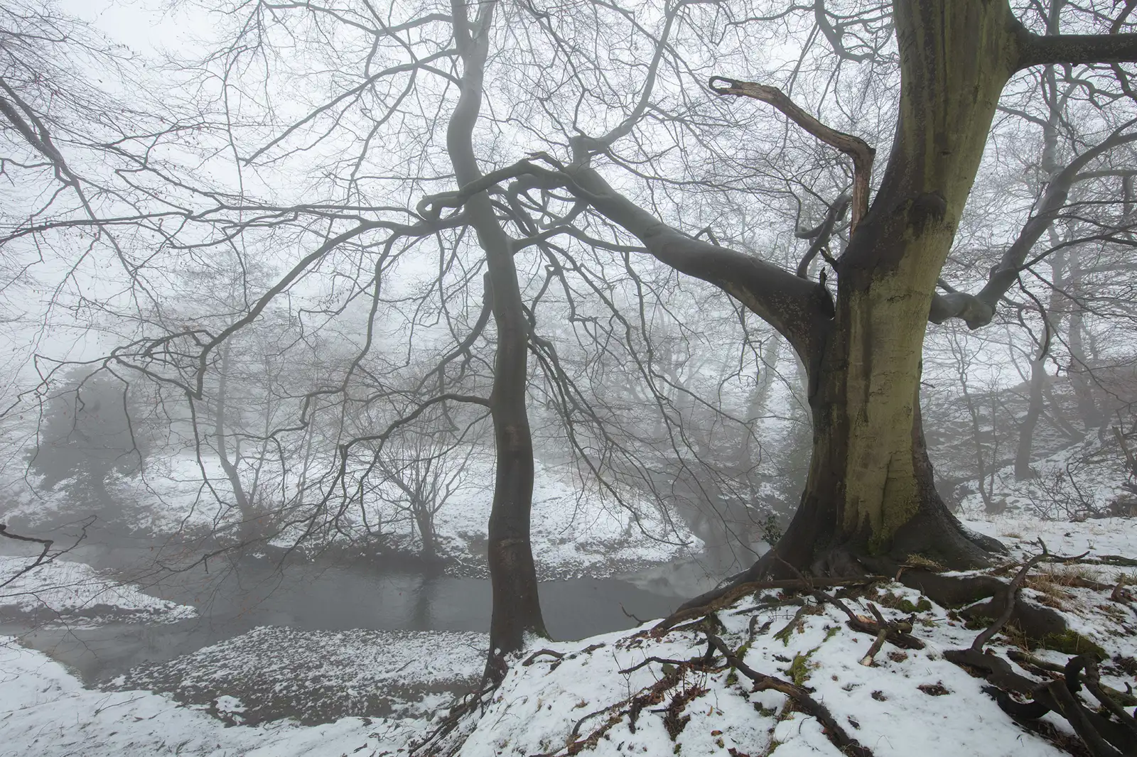 Leafless trees with gnarled branches stand by a gently flowing river, partially obscured by thick fog. The ground and branches are dusted with a layer of fresh snow, creating a serene winter scene. Light filters softly through the mist, enhancing the tranquil atmosphere.