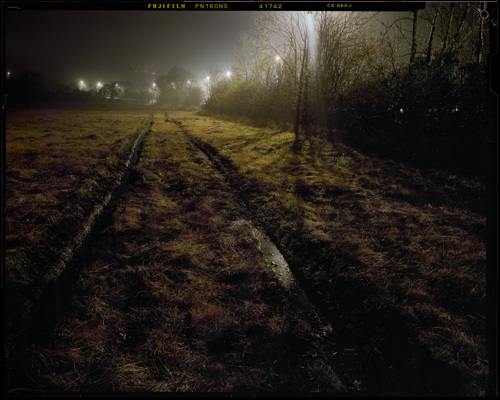 Edge Land:  a field of grass with trees in the dark