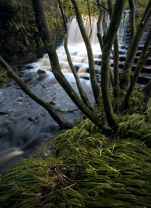 River Washburn