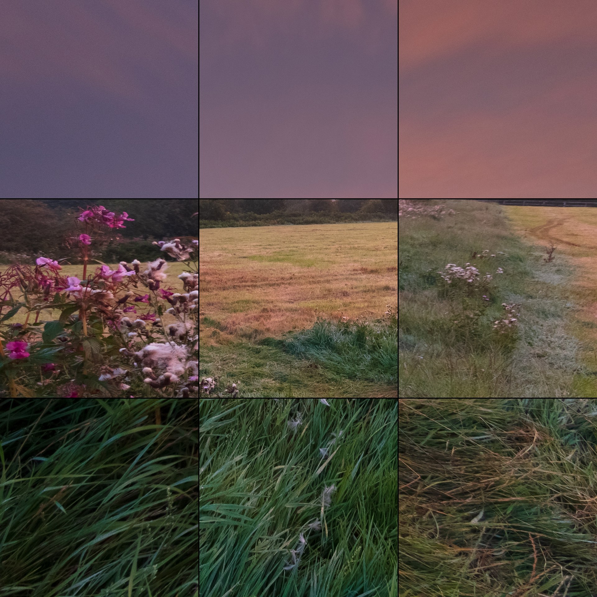 Canon 11-24mm f/4 L lens image quality at 13mm f/8