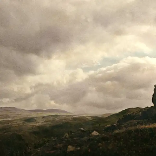 Wild Wales