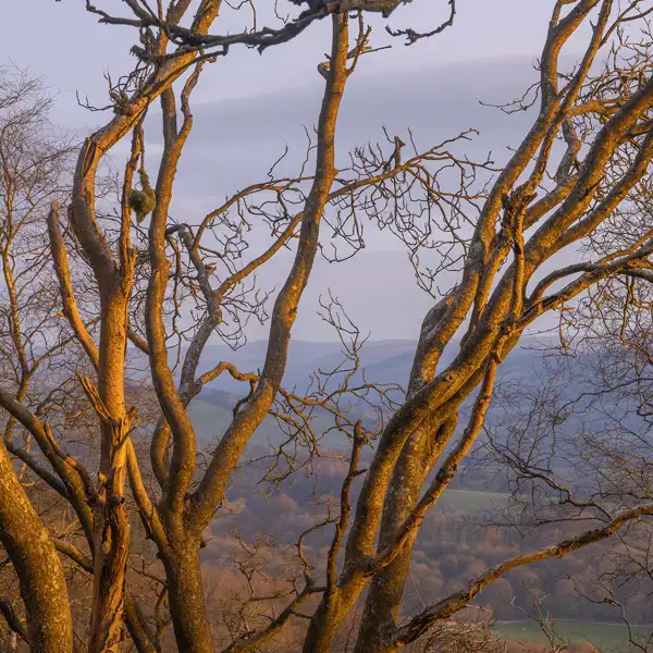 Cold April dawn